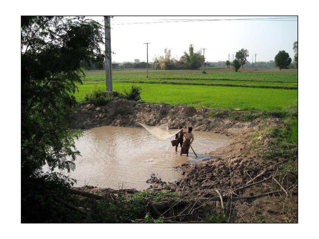 0660_dans une poche d'eau.jpg